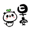 Cute Panda [Taiwan] 15