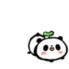 Cute Panda [Taiwan] 16