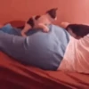 Gatos Mov ️ 24
