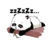 Buenas noches 1 26