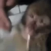 Monos ️ 22