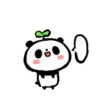 Cute Panda [Taiwan] 19