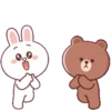 Brown Cony Love care 4 21