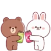 Brown Cony Love care 4 22