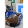 Gatos Mov ️ 29