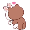 Brown Cony Love care 4 23