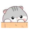 Hamster Cute     (Mov) 24