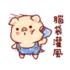 亮亮豬閃耀你的聊天室 24