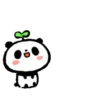 Cute Panda [Taiwan] 24
