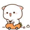 MOCHIS CAT Extra"L" MOV 5