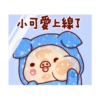 亮亮豬閃耀你的聊天室2 5