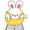 ️Bunny pantalones  MOV 5