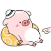Gypso and Jigcho Year of the Pig 7