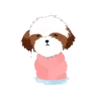 tierno  perrito 5