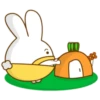 ️Bunny pantalones  MOV 7