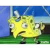 Memes to stop crying 11