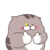 Fat cat 6