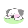 Koala White   Mov 5