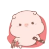 Little pigs 5