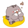 Fat cat 7