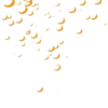 Monkey Funny   Mov 5