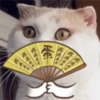 meow Mov 5