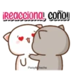 MOCHIS CAT  Antiamor MOV 11