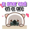 MOCHIS CAT  Antiamor MOV 12