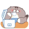 Fat cat 8