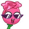 Rosas  flowers 8
