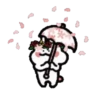 ️Flower rabbit   MOV 5