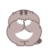 Fat cat 9