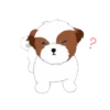 tierno  perrito 11