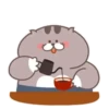 Fat cat 10