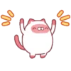 Lindo gato de morango 12