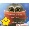 buenas noches 14