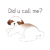 tierno  perrito 13