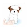 tierno  perrito 14