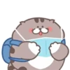 Fat cat 12