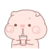 Little pigs 8