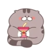 Fat cat 13