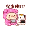 亮亮豬閃耀你的聊天室2 11