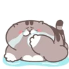 Fat cat 14