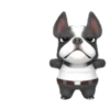 Mangae 7