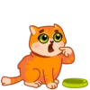Gatito amoroso 6