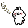 ️Flower rabbit   MOV 7
