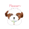 tierno  perrito 17