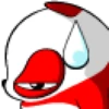 Panda Rojo 6