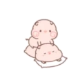 Little pigs 10