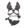 Mangae 9